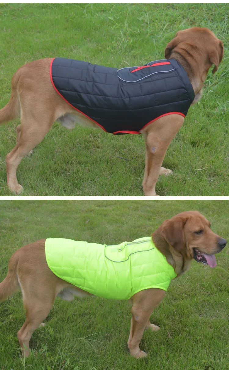9415424314_1312024799
