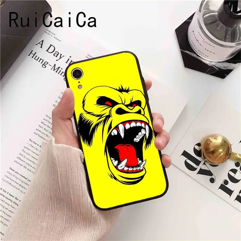 Animal monkey lion tiger leopard shark dog