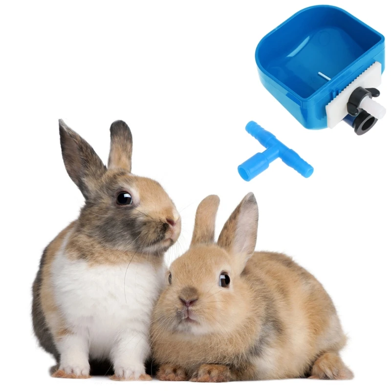 

Hot Sale Rabbit Automatic Drinker Water Feeder Fix Bowl Stainless Steel Equipment Nipple