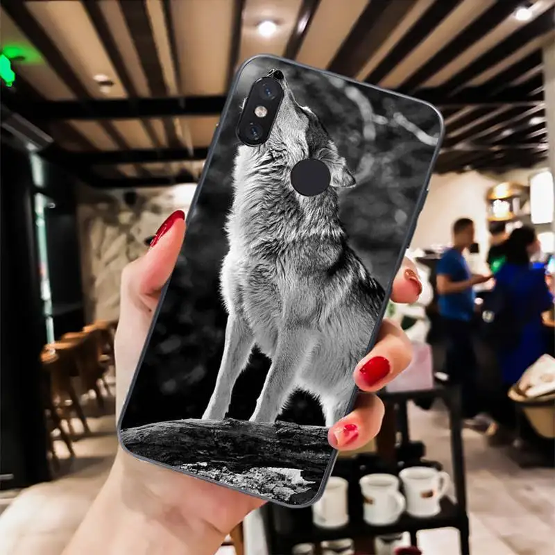 angry Animal wolf Face Pattern