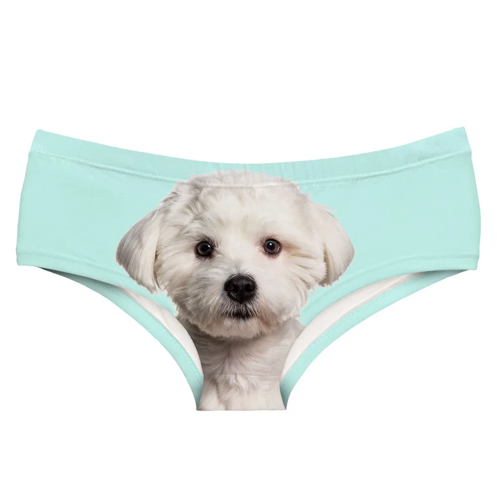 55057 white dog (3)