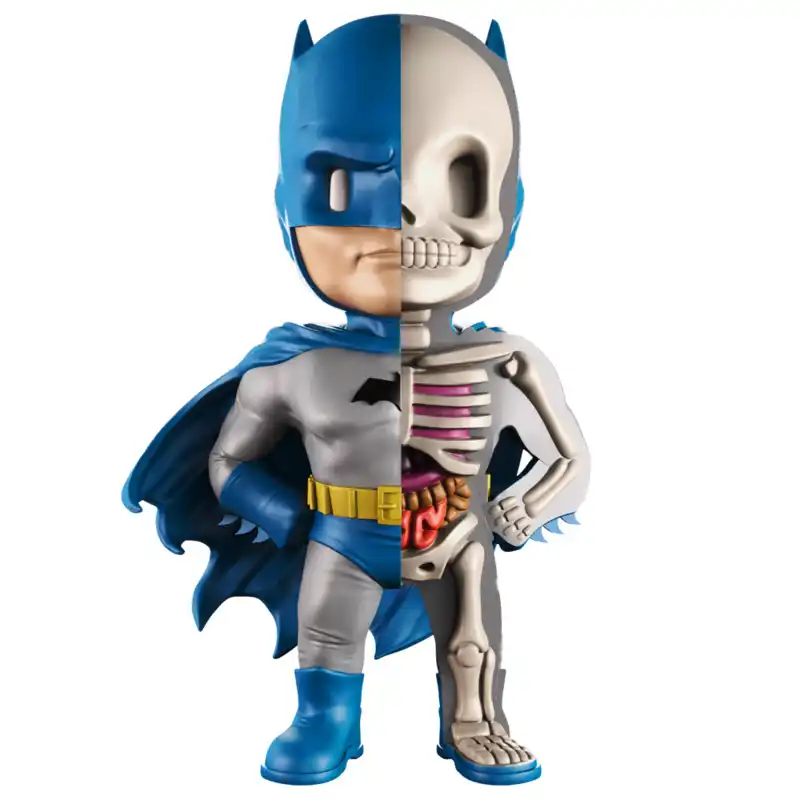 Dibujos Animados Anime Superheroe Modelo Anatomico Azul Batman Huesos Figuras De Accion Ninos Superheroe Anatomia Personajes Modelos De Dibujos Animados Aliexpress