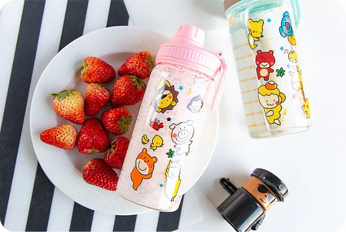 Cute Glass Water Bottle (18)