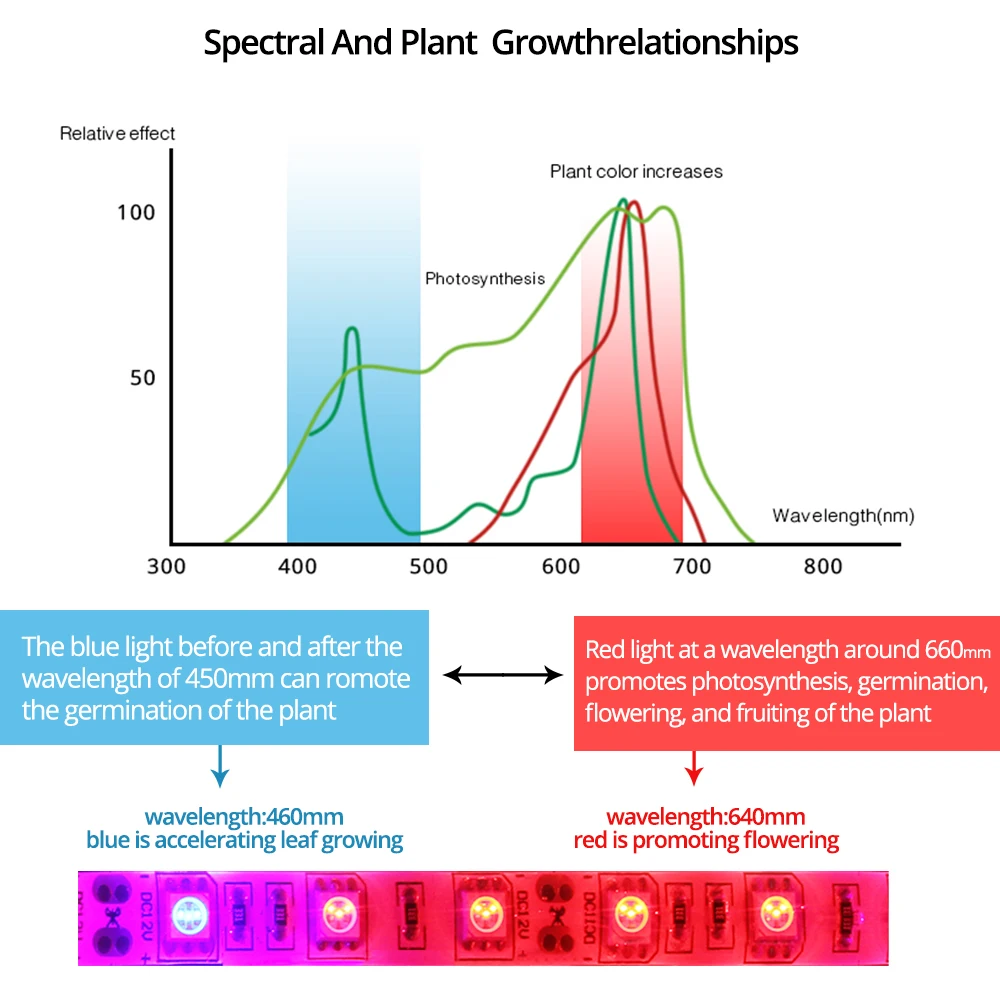 5 м 60 Светодиодный s/m12V светодиодный светильник для выращивания s полоса ip65 Фито лампы 5050 Светодиодный светильник красный синий 3:1 4:1 5:1 для теплиц гидропоники