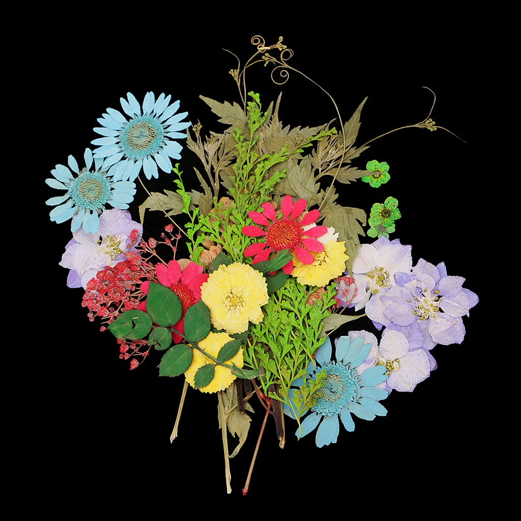 Pack of 50pcs Natural Dried Flower Real Flower Mixed For DIY Resin Ornament Craft Card Making Scrapbooking Embellishments