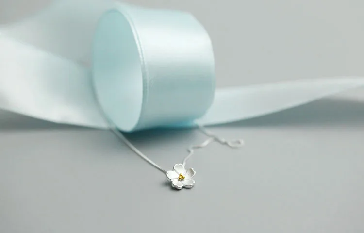 2287804483_823318017