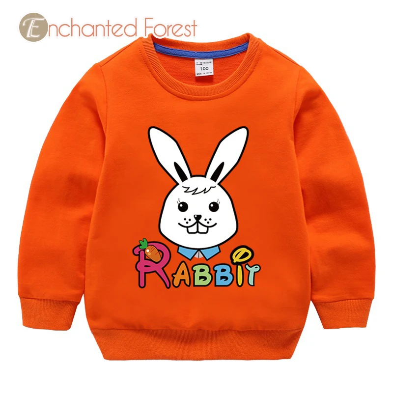 

Children's cotton sweatshirt baby girl clothes Boy long sleeve cartoon top sweatshirt for girls kids clothes for girls Unisex