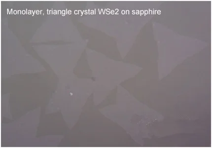 Monolayer-triangle-WSe2__