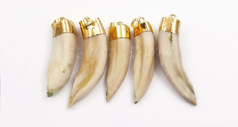 WT-P241 WKT волк подвеска в форме зуба с крышка золотого цвета, удивительные сырой волк зубы кости Подвески для изготовления ювелирных изделий