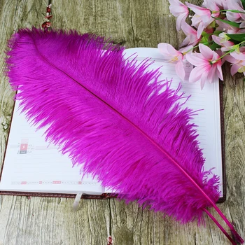 

5 PCS beautiful mei red ostrich feather 50 to 55 cm / 20 to 22 inches feathers