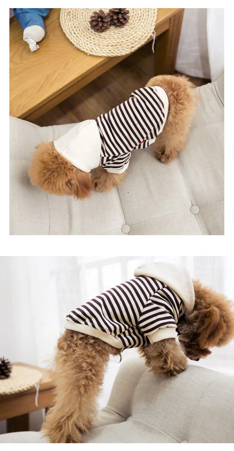 Dog Clothes Spring  (6)