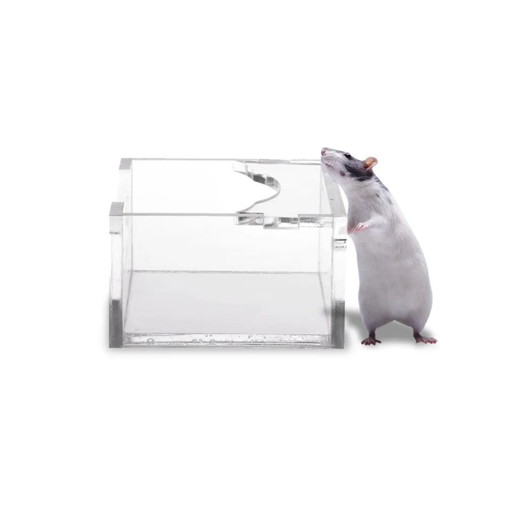 Hot Sale Acrylic Feeder For Hamsters Small Pets Chinchillas Guinea