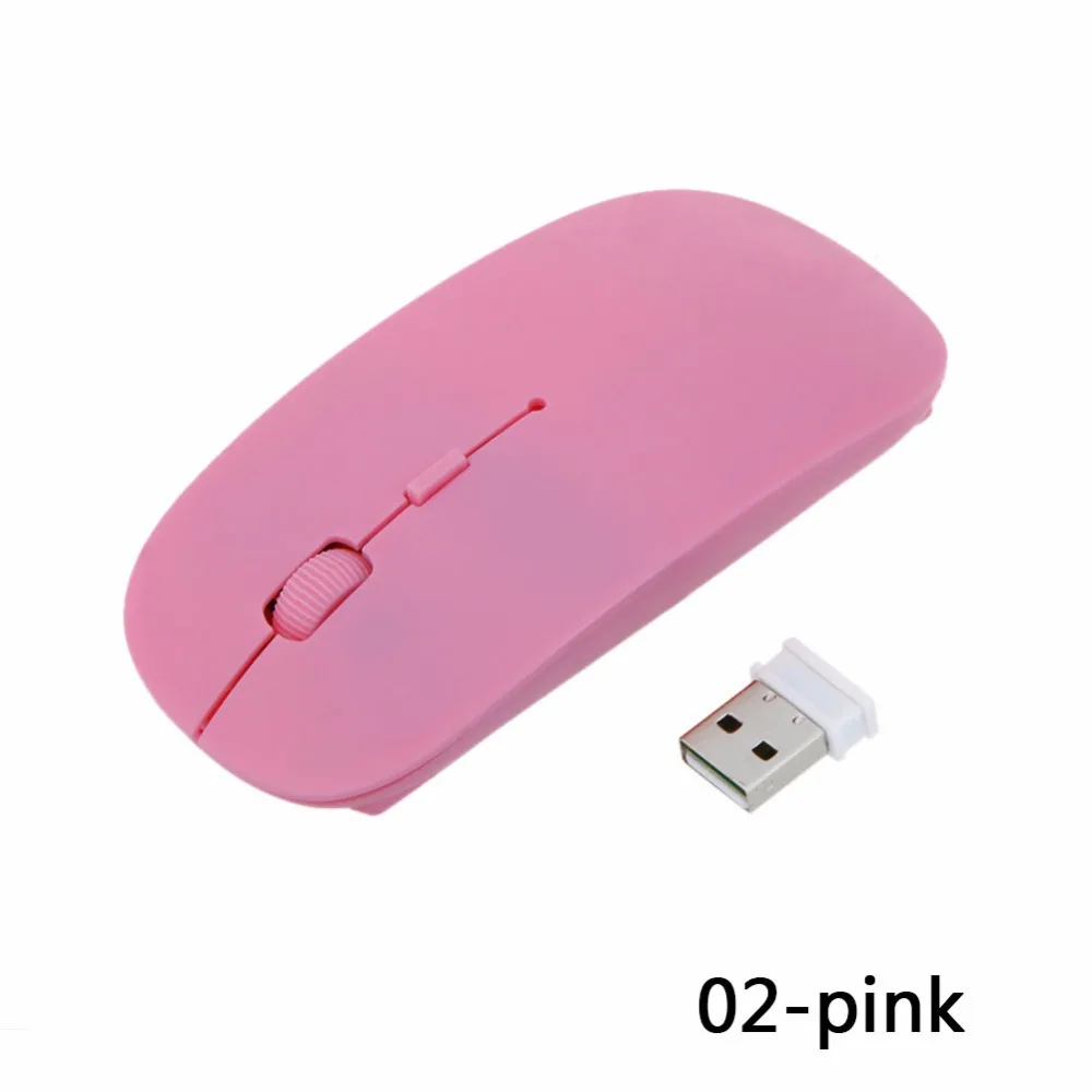 277657_no-logo_277657-2-02