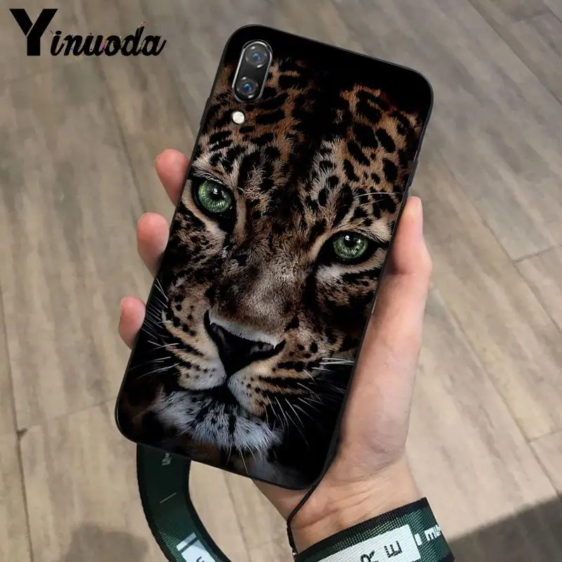 Tiger Leopard Print Panther