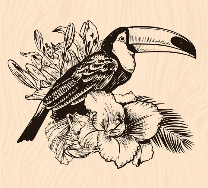 LONGCOURRIER_Bois_100_100_Toucan