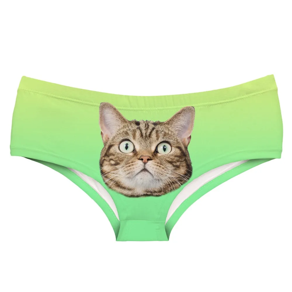 46264 kitten me right meow (1) copy