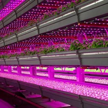 ЕС/США Тип трубки полный спектр светодиодный Фито лампы для растений для теплицы гидропоники комнатных растений рассады Veg и цветок