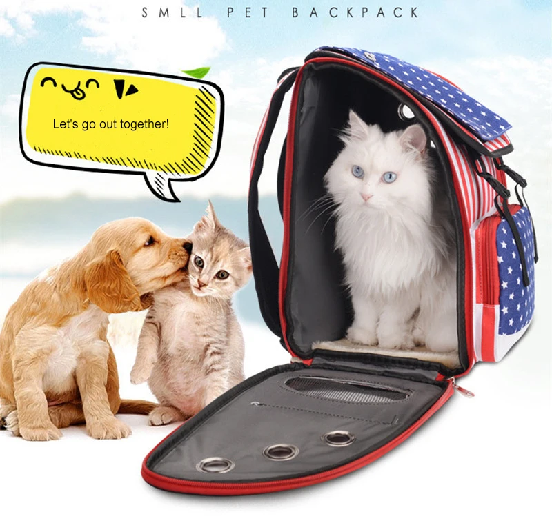 pet carrier (6)