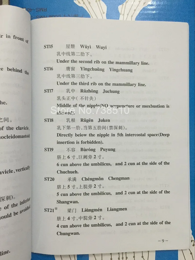 Acupuncture Model 50cm Male female with Base Human acupuncture meridia