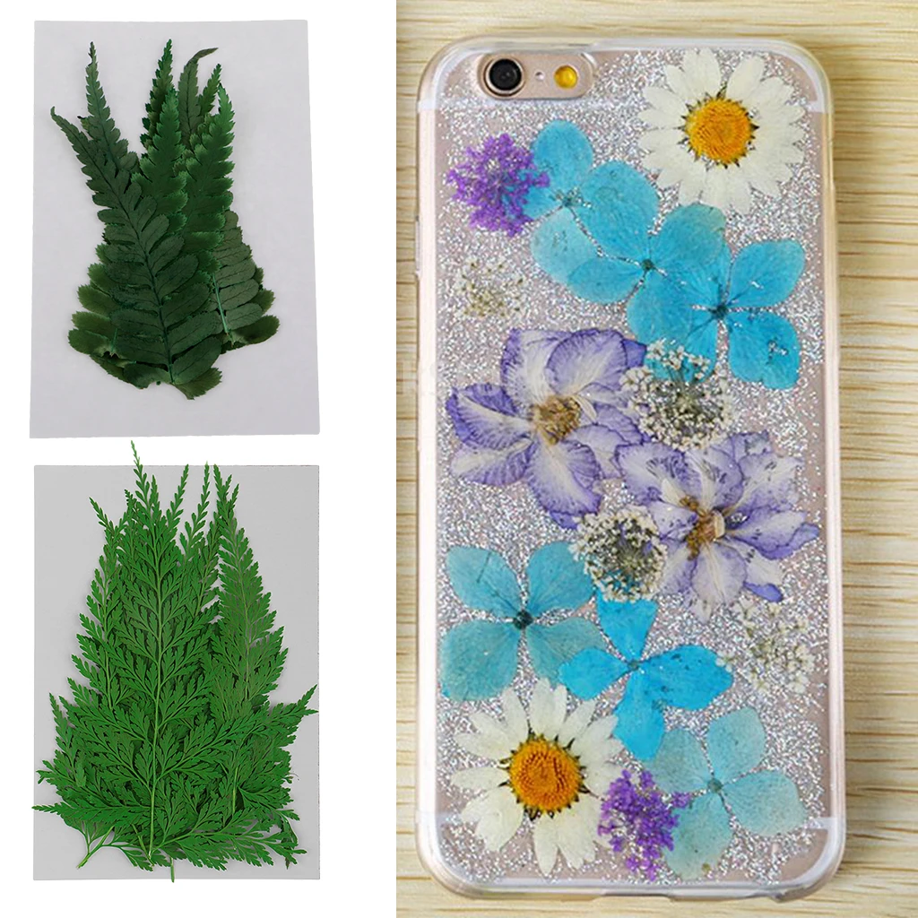 22 Pieces Pressed Fern Leaves Natural Dried Flowers DIY Scrapbooking Crafts