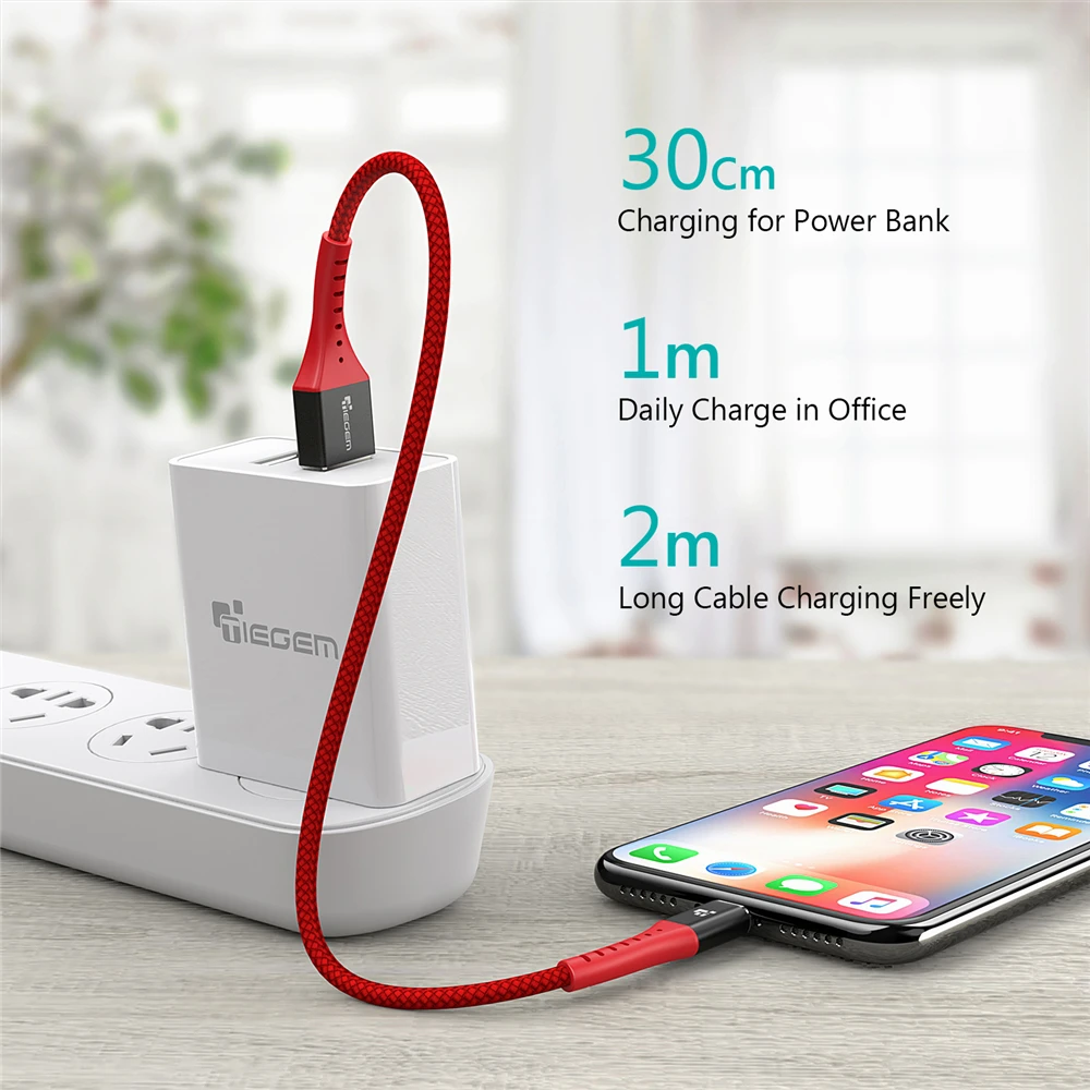 iPhone cable 11047 09