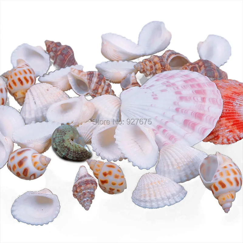Новые прибл. 100 г пляжные смешанные ракушки микс морские ракушки ремесло ракушки аквариум#67179