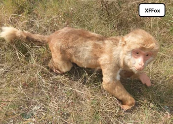 

new simulation monkey model polyethylene&furs real life 1:1 monkey doll gift about 55cm xf0924