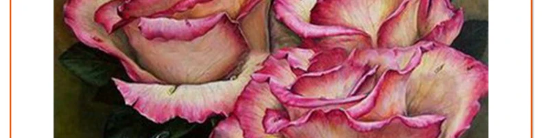 Classical three rose oil paintings full drill diamond embroidery wall decor mosaic picture 5d rhinestone embroidery needlework3321_05