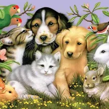 5D DIY Алмазная картина фото на заказ собака и кошка 3D вышивка крестиком Мозаика Декор полный квадратный Алмазные цветы