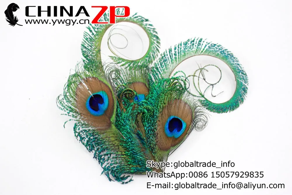 Zany - Unusual peacock hair accessory