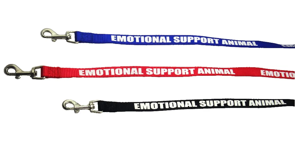 service dog 4ft leash