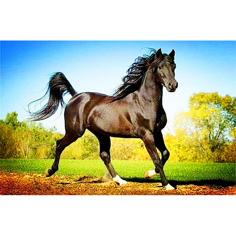 

DIY Diamond Embroidery Horse Full Square/round Diamond Painting Cross Stitch Kit Mosaic Home Decor