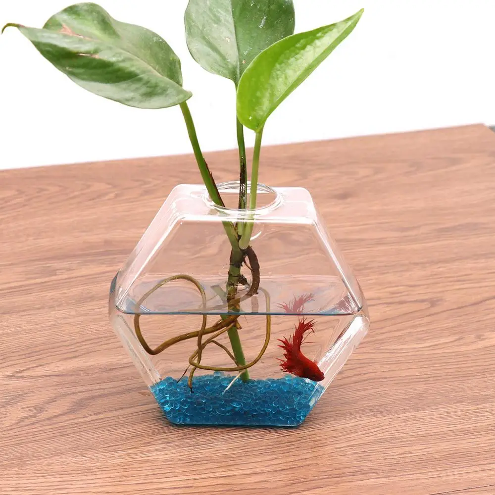 Macetas De Vidrio Para Colgar En La Pared Macetas De Plantas De