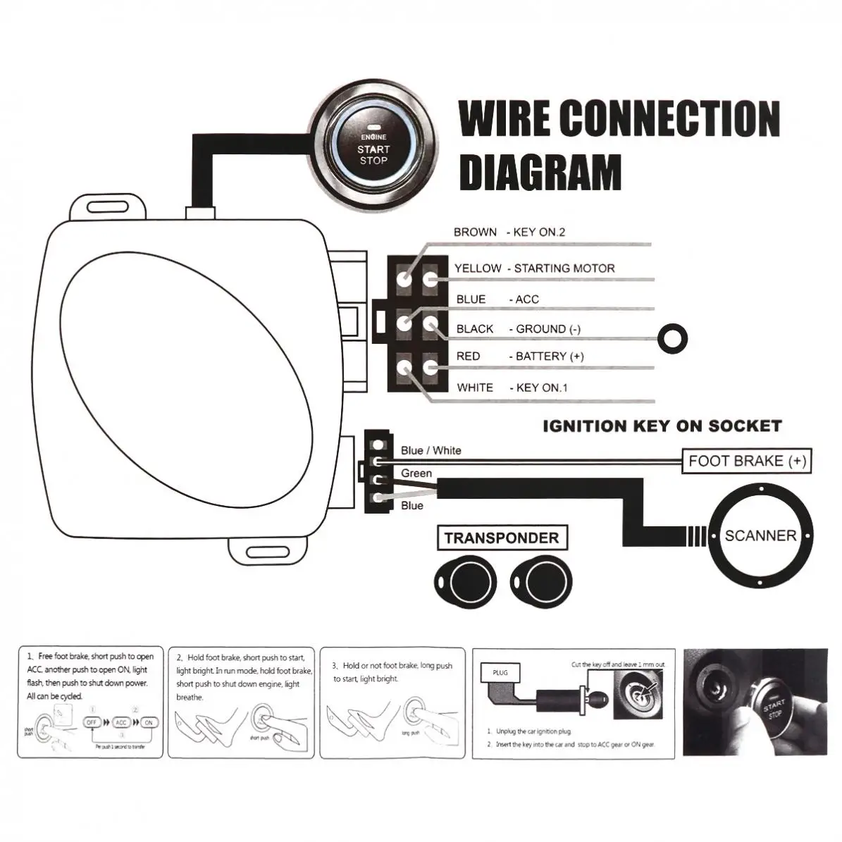 24954-description-9-l1.jpg