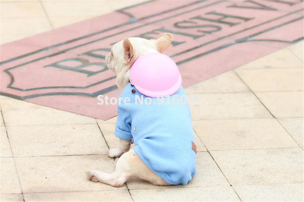 pet dog helmet (4)