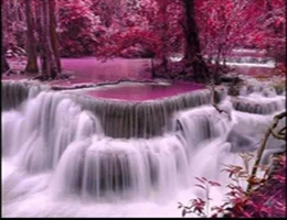 QQ20190109195446