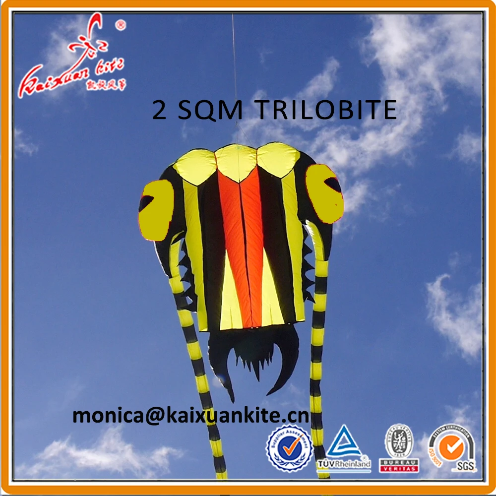 

2 sqm Trilobite Kite, soft kite, show kite, Lifter