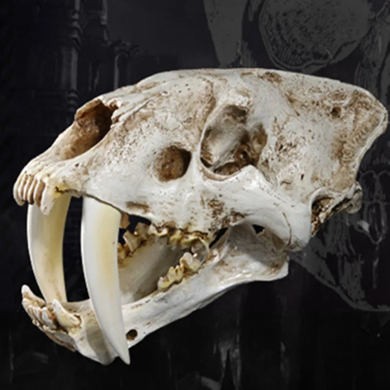 White Saber-Toothed Tiger Resin Skull Replica Head Skeleton Model Bar Decor