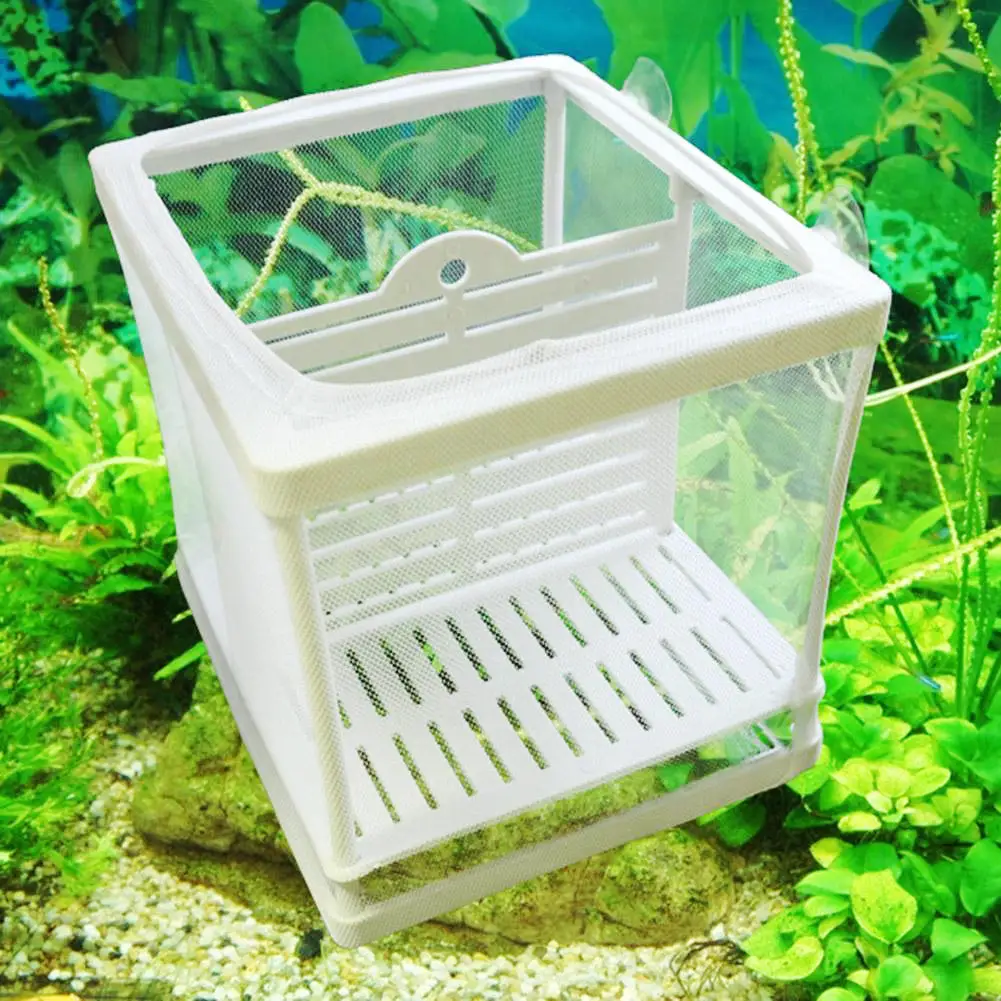 Aquarium Fry Baby Fish Tank Guppy Breeding Breeder Hatcher Trap Box Nursery Net Aqua Incubator