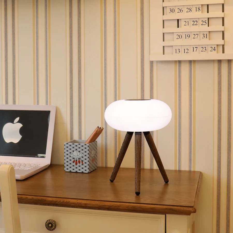 

LED Reading Desk Lamp 3 Colors Magical Light Bulb Table Lamps USB Battery Infrared Sensation Switch for Living Room GX Diffuser