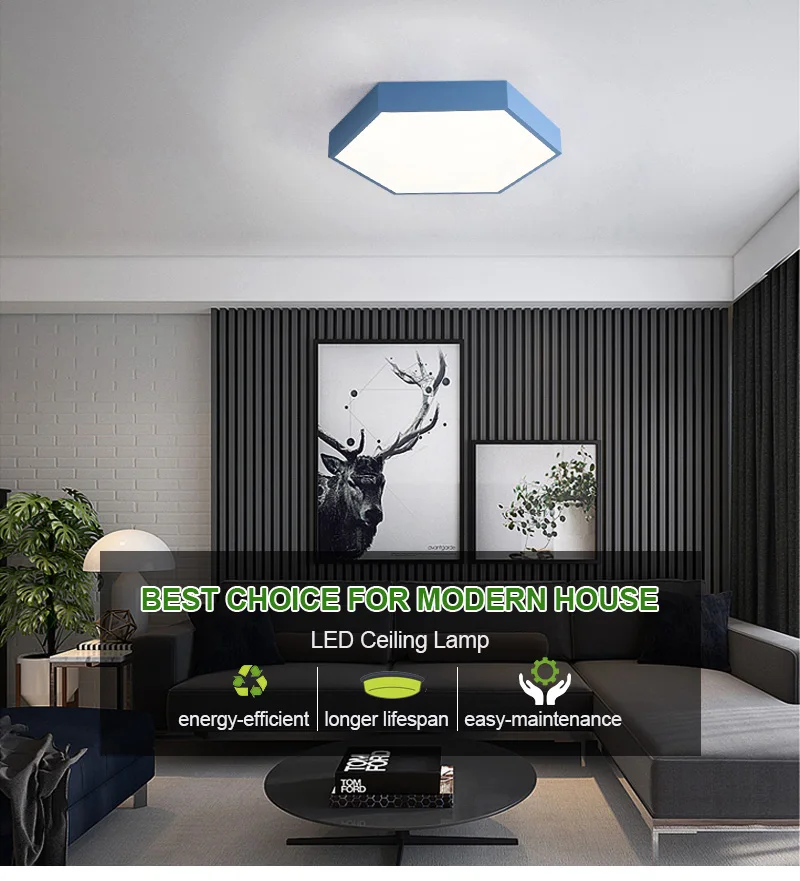 led ceiling light (1)
