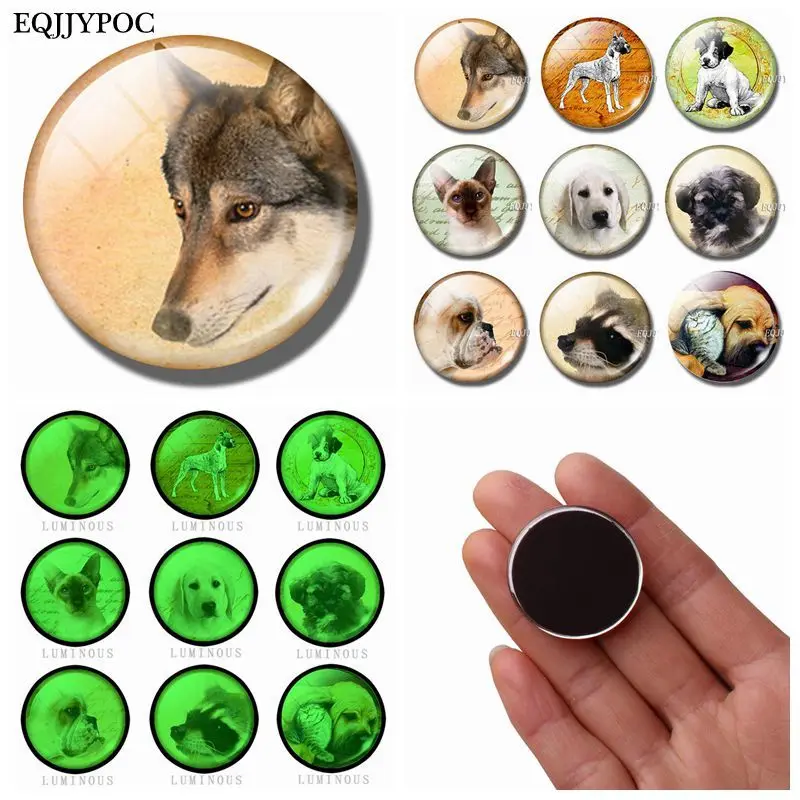 

Luminous Glass Lovely Dog 30 MM Glass Whiteboard Magnets for Refrigerators for Fridge Magnetic Stickers Christmas Home Decor