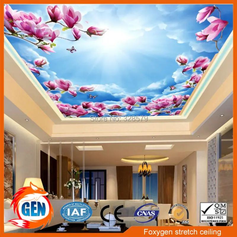 

Artistry designs cheap ceiling tiles stretch ceiling system
