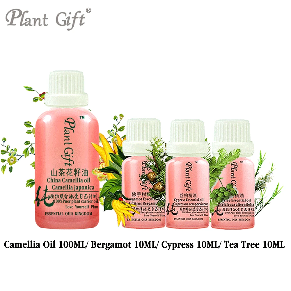 

100% Pure Plant Base Oil Essential Oils Kingdom Skin Car Camellia / Bergamot / Cypress / Tea Tree Oil 100ml DIY Handmade Soap