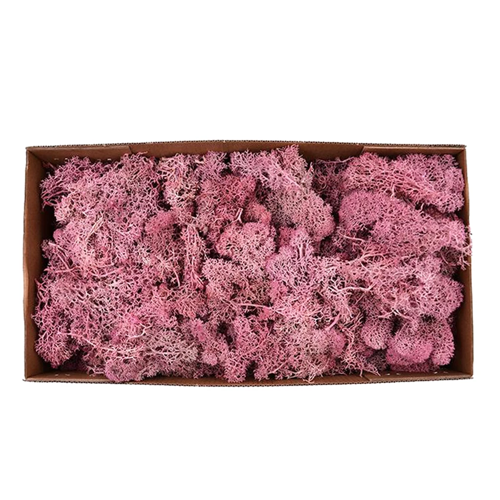 Colorful Artificial Moss Plant DIY Dried Reindeer Moss Floral Crafts Flowers for Plant Pot Garden Home Wedding Decor