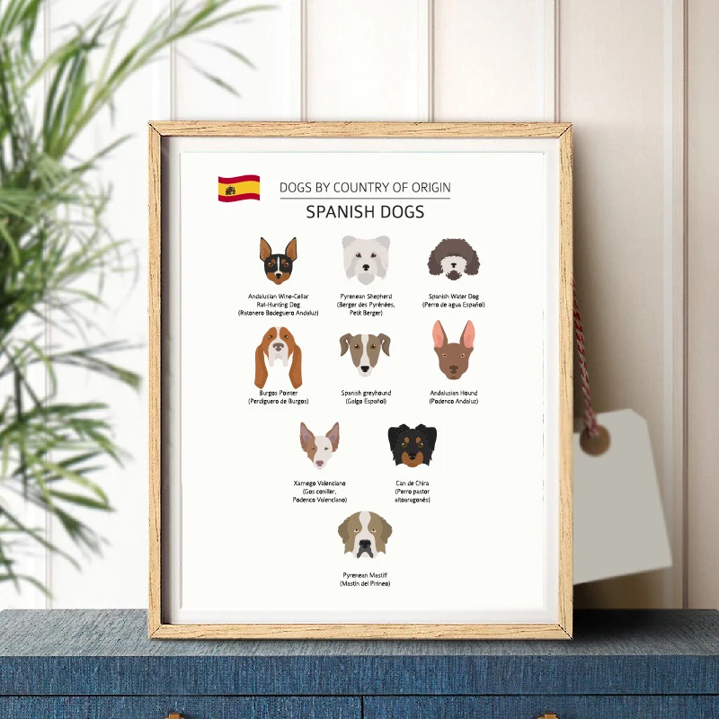 Spanish Dog Breeds Poster Home Decor