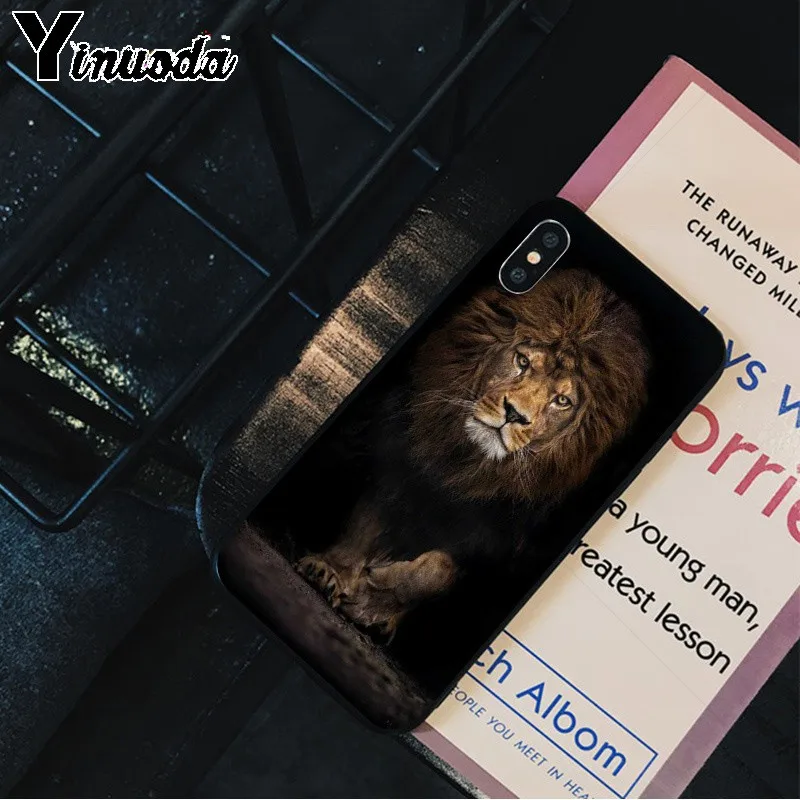 Animals The lion