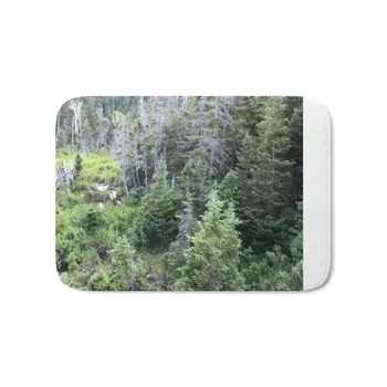 

Forest Bath Mat Carpets Floor Mats Room Kitchen Carpet Toilet