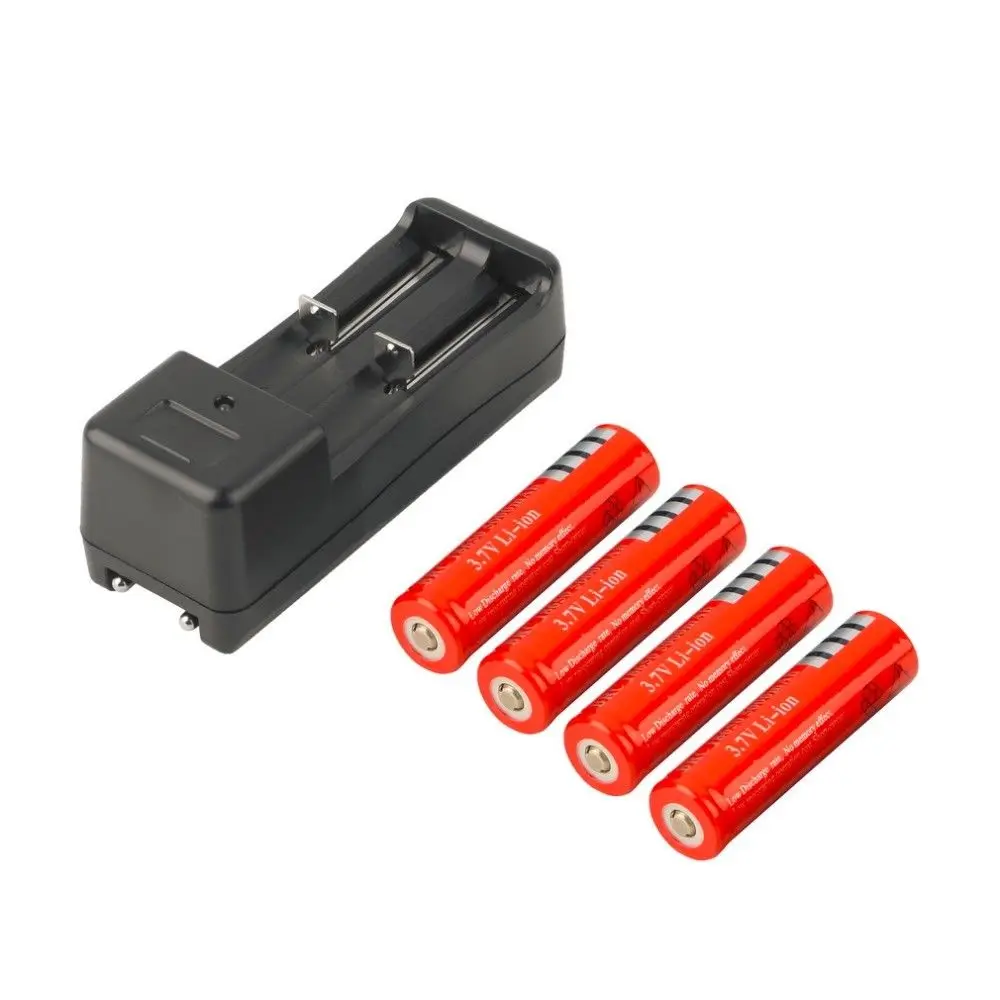 

GTF 4pcs 18650 5000mAh 3.7V Li-ion Rechargeable Battery + Smart Charger EU
