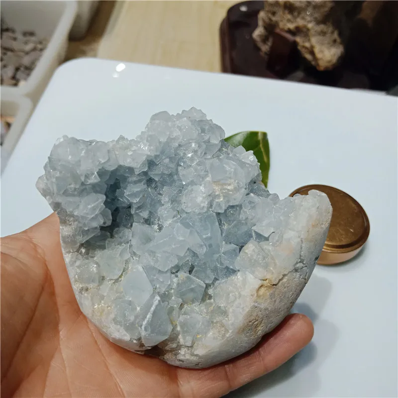 IMG20190224115242